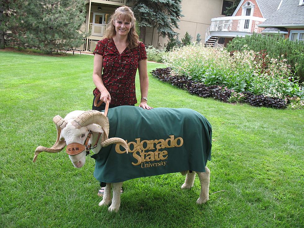 Todd Harding’s Wife Jenny Makes Jacket For CSU Mascot CAM The Ram