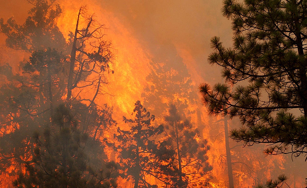 Colorado Ranks Eighth in Top 10 Most Dangerous Wildfire States