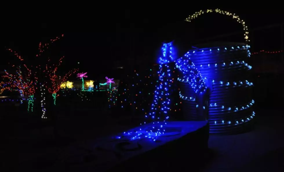 The Gardens on Spring Creek in Fort Collins Alive With the Glow of Christmas Lights [PICTURES]