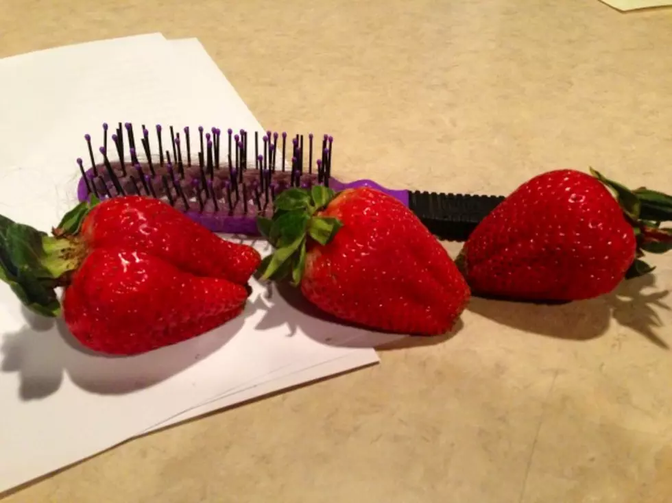My Biscuit Sized Strawberries &#8211; Brian&#8217;s Blog