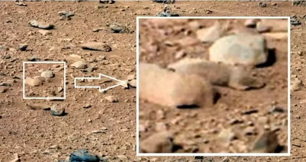 Did NASA&#8217;s Rover &#8216;Curiosity&#8217; Find Life On Mars?