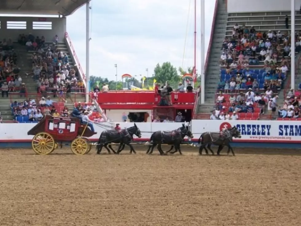 My Favorite Things at The Greeley Stampede &#8211; Todd&#8217;s Top 5