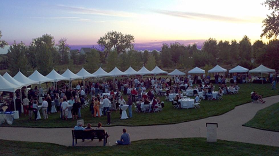 Todd Harding Hosting 6th Annual WineDown The Summer Event at Chapungu Sculpture Park On Saturday
