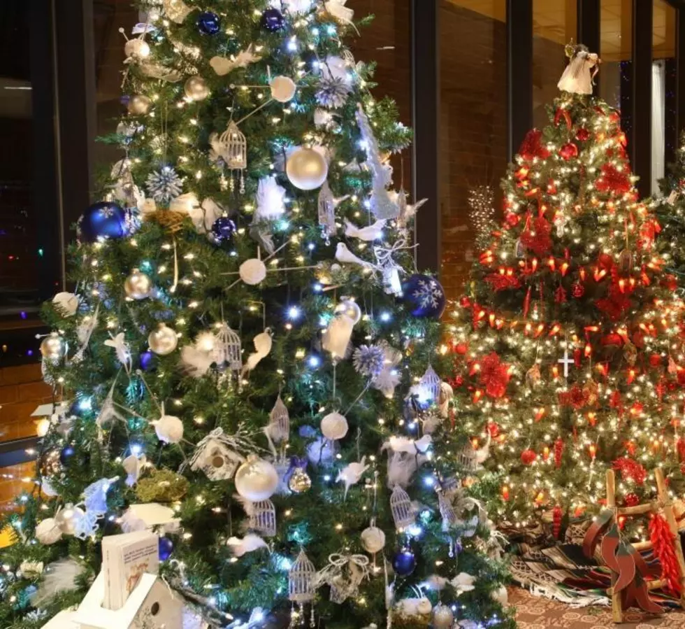 Greeley’s 28th Annual Festival of Trees Now Accepting Entries