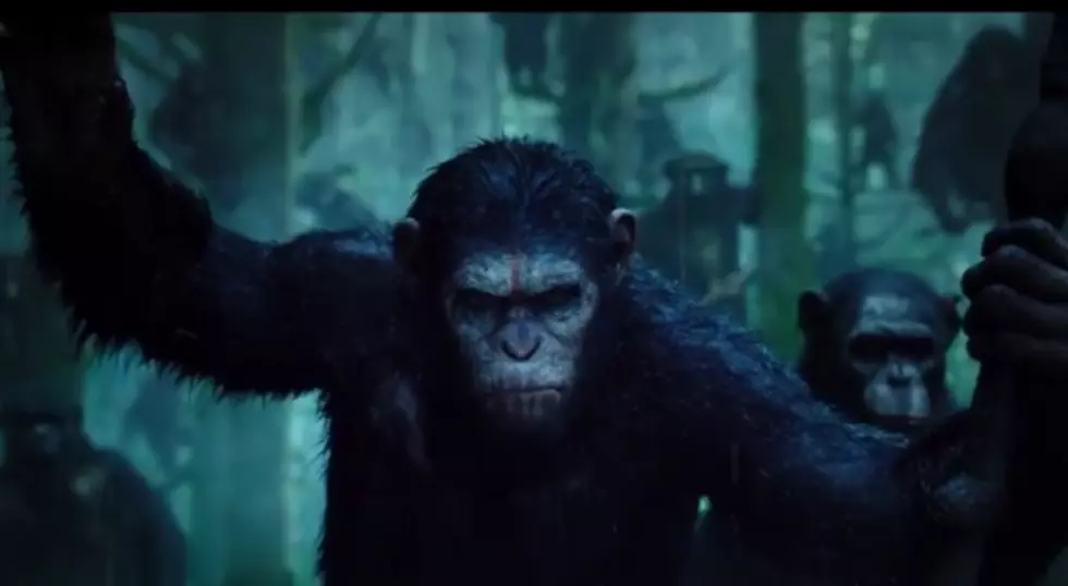 New Planet Of The Apes Movie Coming Out In July