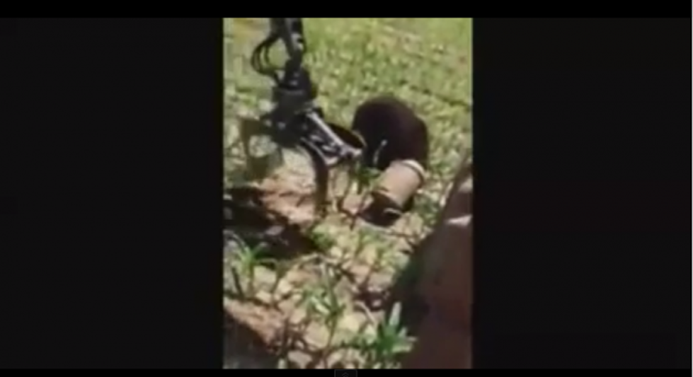 This is Something You Don&#8217;t See Everyday &#8211; A Bear With His Head Stuck in a Milk Can [VIDEO]