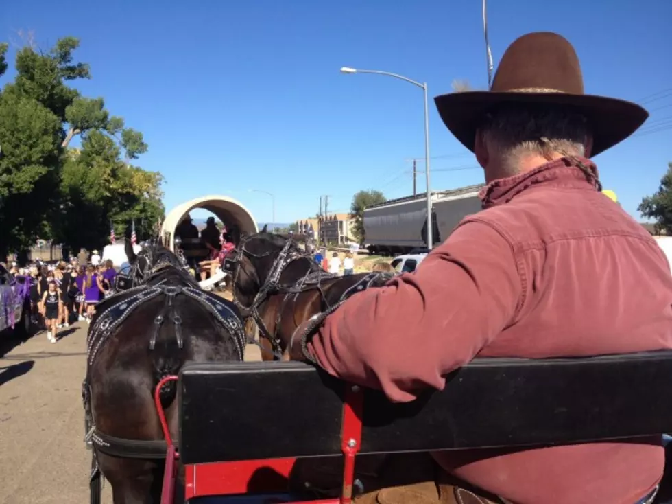 How Many Horses Does it Take to Haul Brian and Todd in the Harvest Festival Parade?