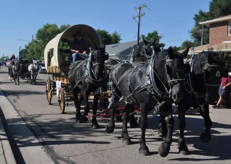 Brian &#038; Todd Pulled by Four Percherons in Windsor Harvest Festival Parade [PICTURES/VIDEO]