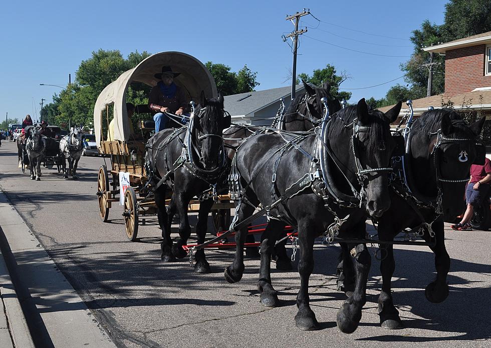 Brian & Todd Pulled by Four Percherons in Windsor Harvest Festival Parade [PICTURES/VIDEO]
