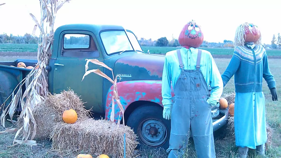 Osborn Farm’s ‘Pumpkin Boy’ has Been Stolen In Loveland