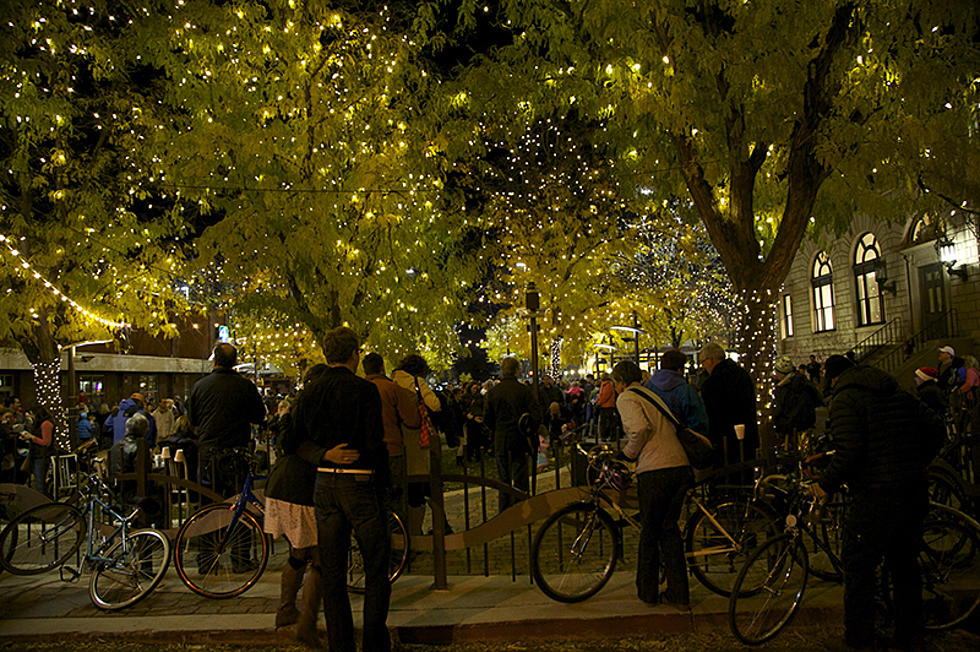 Lighting Ceremony Kicks Off Holiday Season  in Downtown Fort Collins