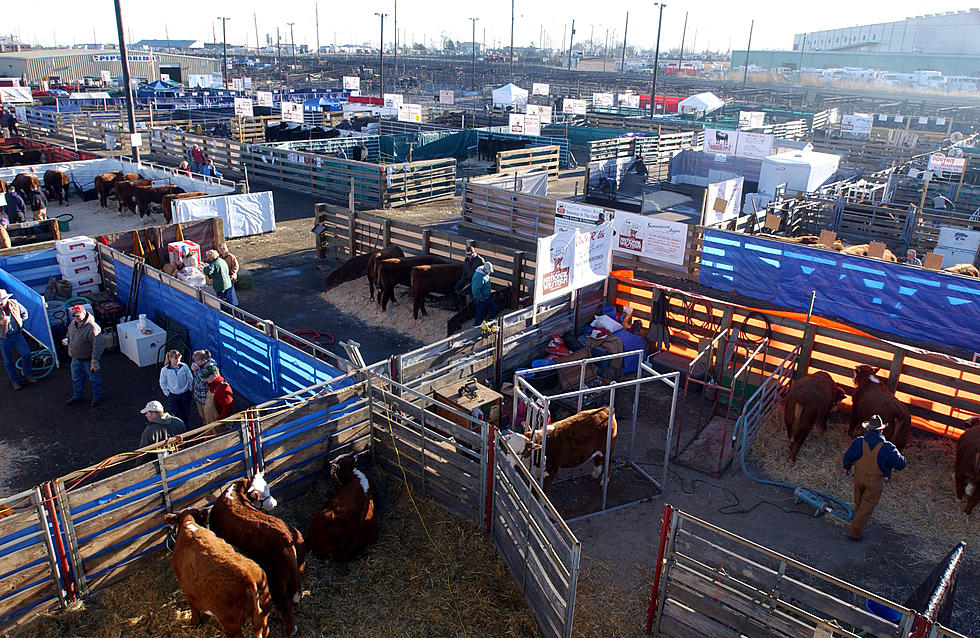 The National Western Stock Show in Denver is Holding Job Fair