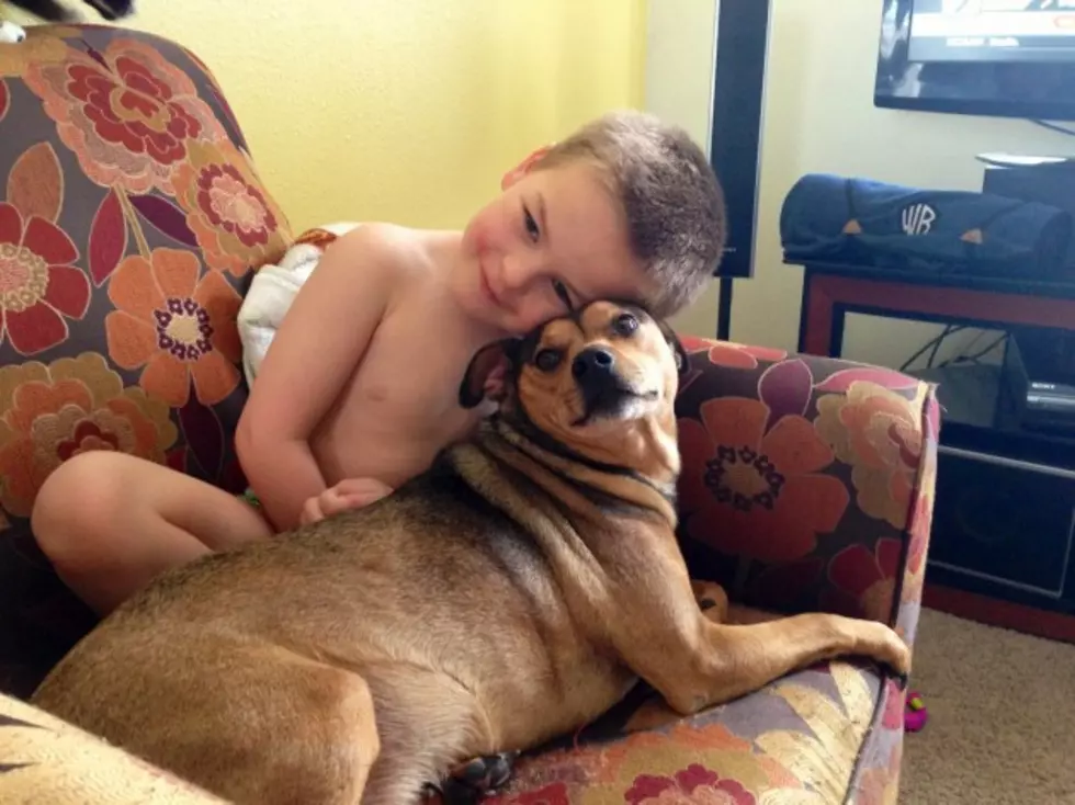 There is No Love Stronger Than a Child and Their Pet &#8211; Brian&#8217;s Blog