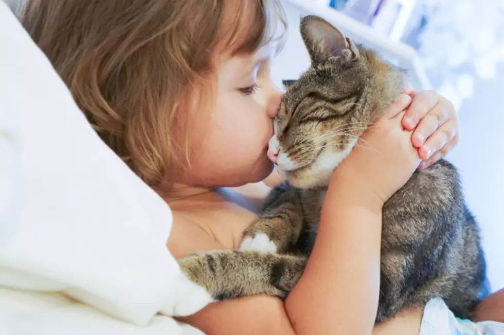 Crazy Cat Ladies Explained —They Started as Crazy Cat Kids
