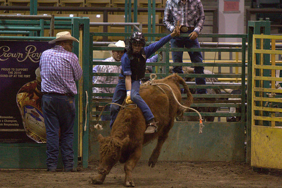 Sign Up Today for Junior Rodeo at the Larimer County Fair