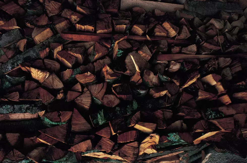 State Forest Firewood Sale Reduces Fire Risk & Offers Low-Cost Wood