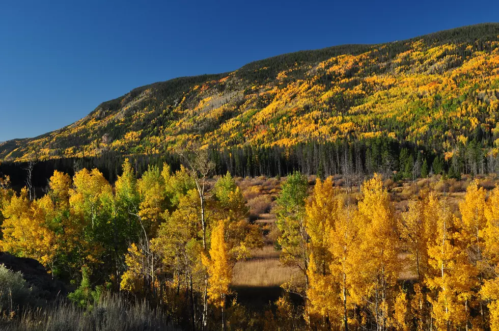 Three Places I Want to See Fall Color in Colorado This year