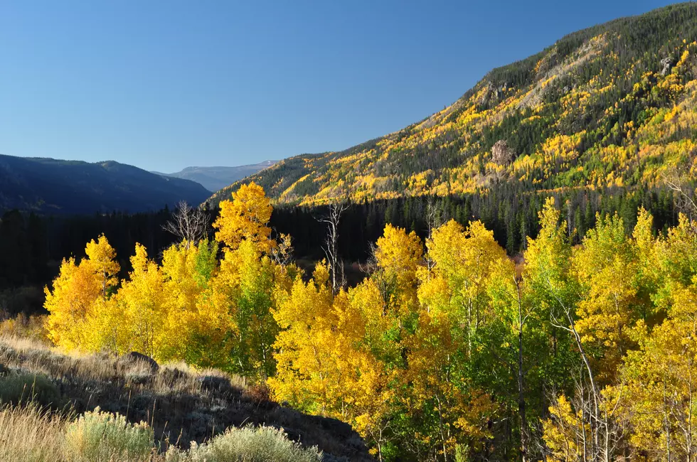 Many Of Colorado’s Fall Colors To Peak This Weekend