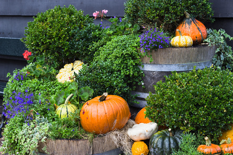 Get Into the Halloween Spirit at Gulley’s Month-Long Harvest Celebration