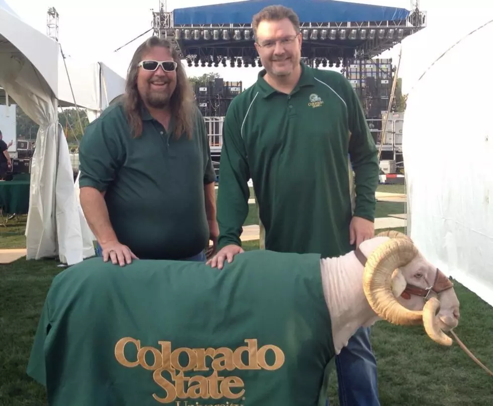 CSU Mascot CAM the Ram Dies Before Rocky Mountain Showdown