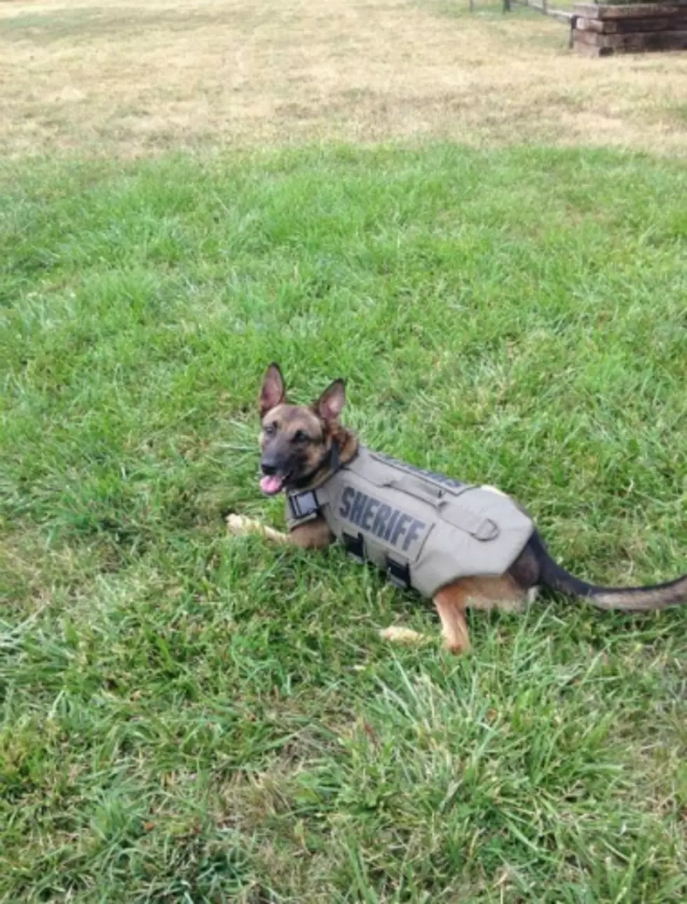 Photo credit: Douglas County Sheriff's Office via Facebook