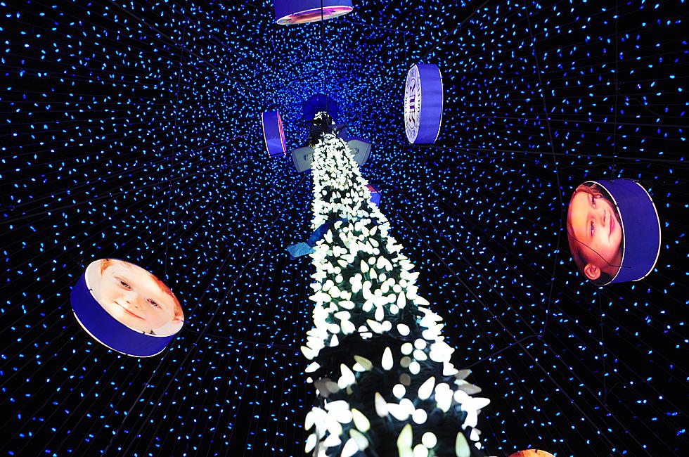 NightLights Giant Blue Christmas Tree Lighting Ceremony [PICTURES /VIDEO]