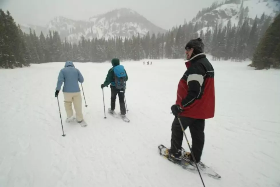 Estes Park Winter Festival & Winter Trails Day This Weekend