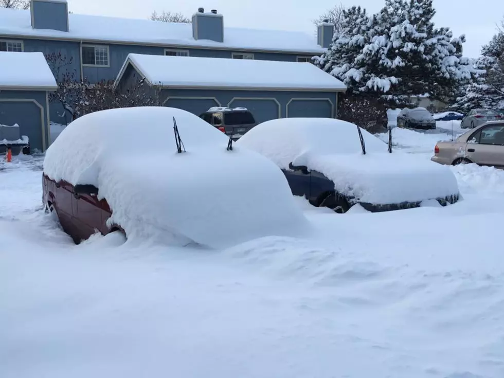 Snow Totals For February 2016 Northern Colorado Snowstorm