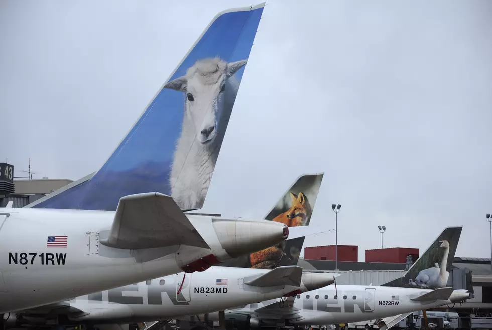 Frontier Airlines Cancels Mascot Contest