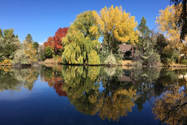 Top 5 Places to View Fall Colors In Fort Collins [PICTURES]