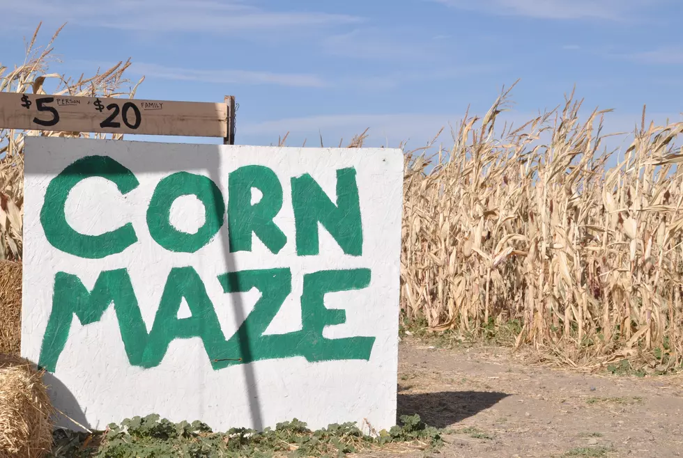 Fritzler’s Corn Maze Has a New Name