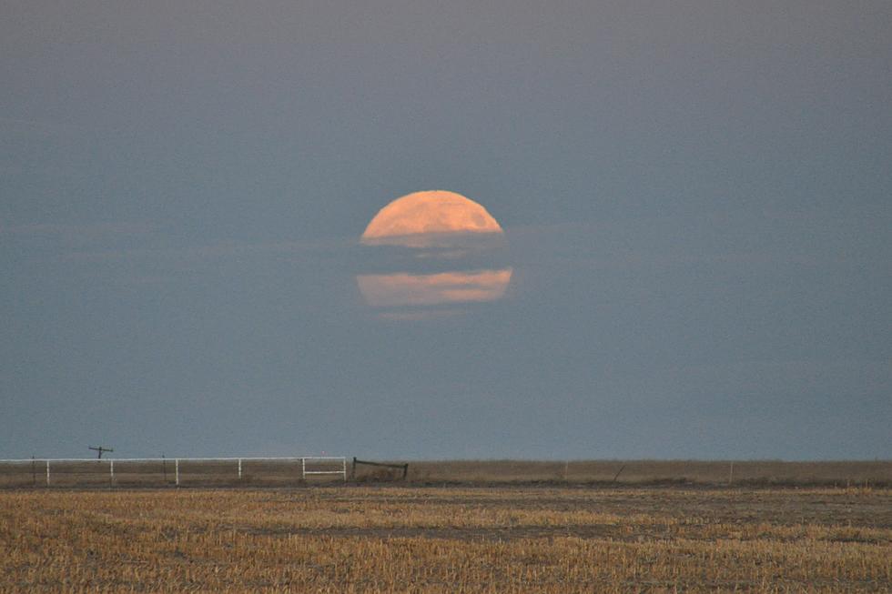 Super Moon Rises Over Northern Colorado – November 13, 2016 [PICTURES]