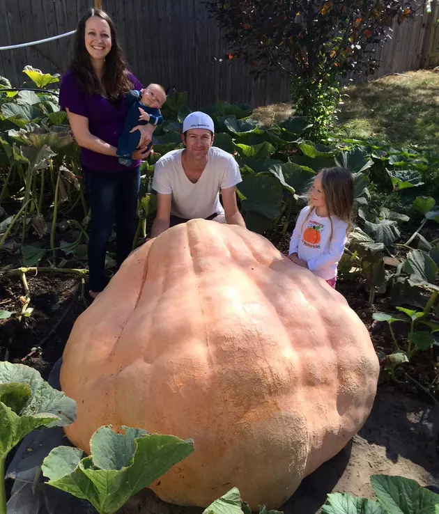 How to Move a 1,000 Pound Pumpkin [PICTURES &#8211; VIDEO]