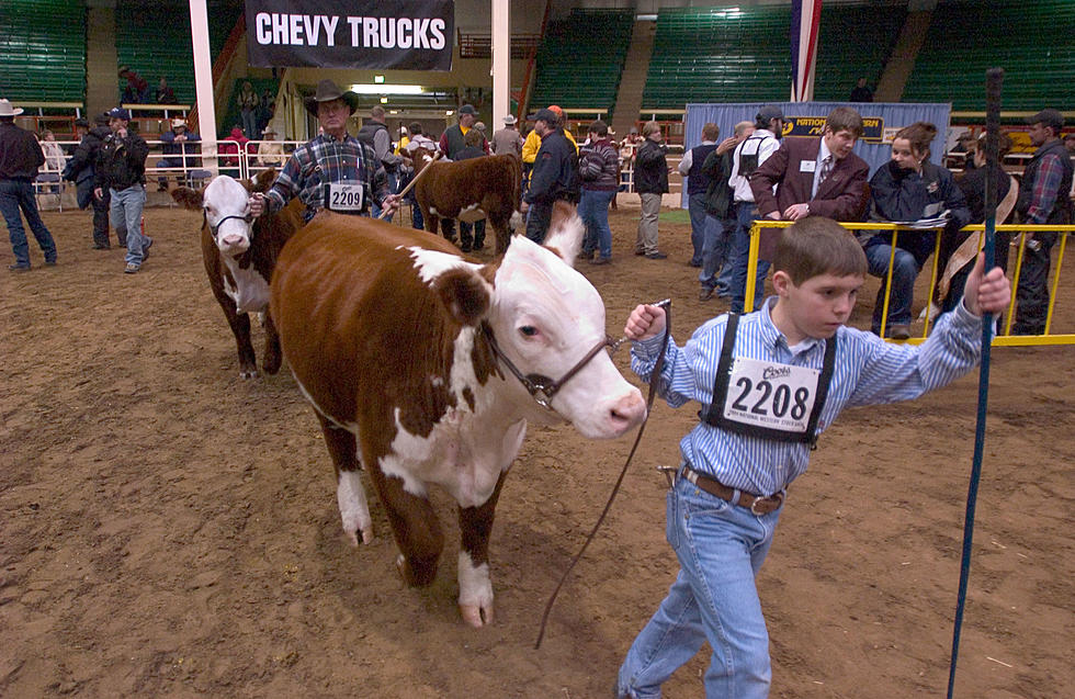 111th National Western Stock Show Kicks Off in Denver This Weekend