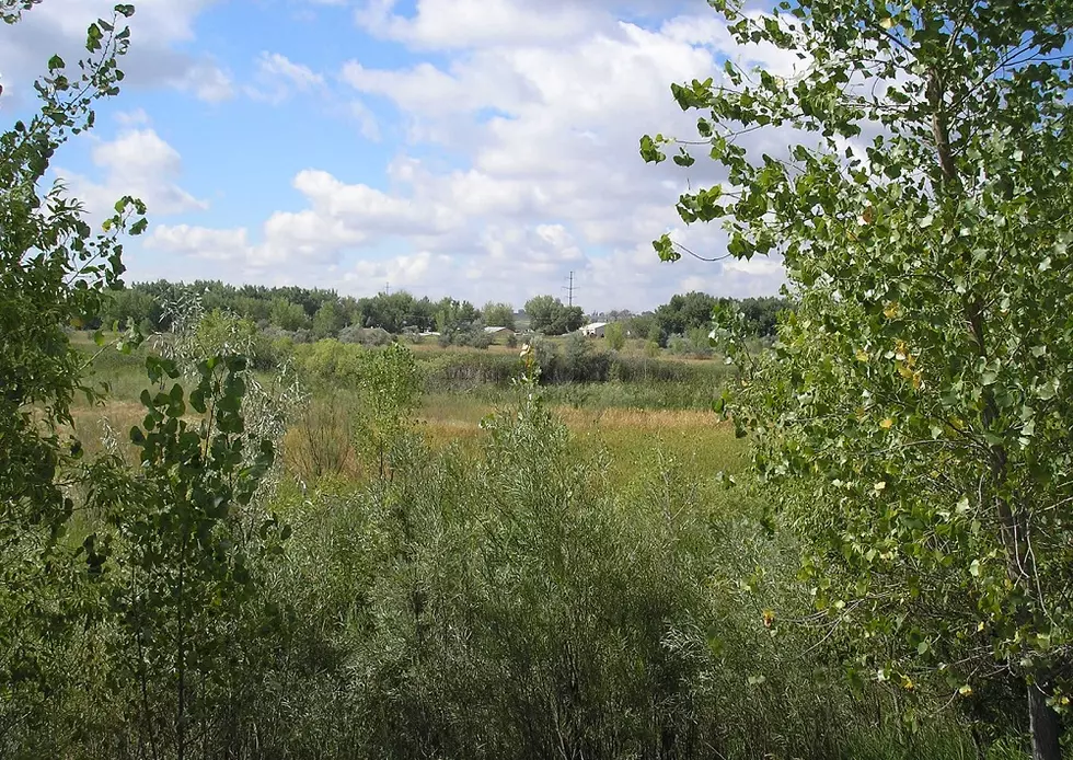 Loveland Needs Your Help Naming Three New Natural Areas