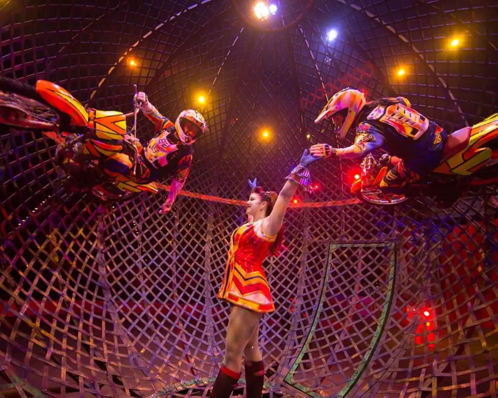 Jordan World Circus Coming to Northern Colorado This Month