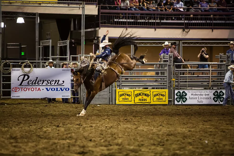 Rodeo Tickets Are on Sale Now for the Larimer County Fair