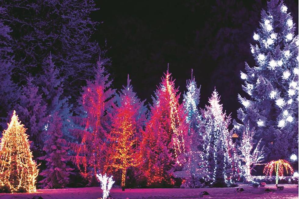 Loveland’s Winter Wonderlights Returns November 15
