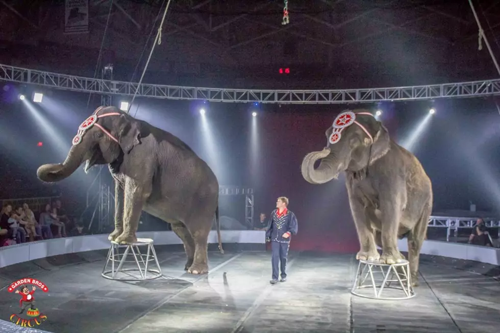 Garden Brothers Circus Coming to Budweiser Events Center