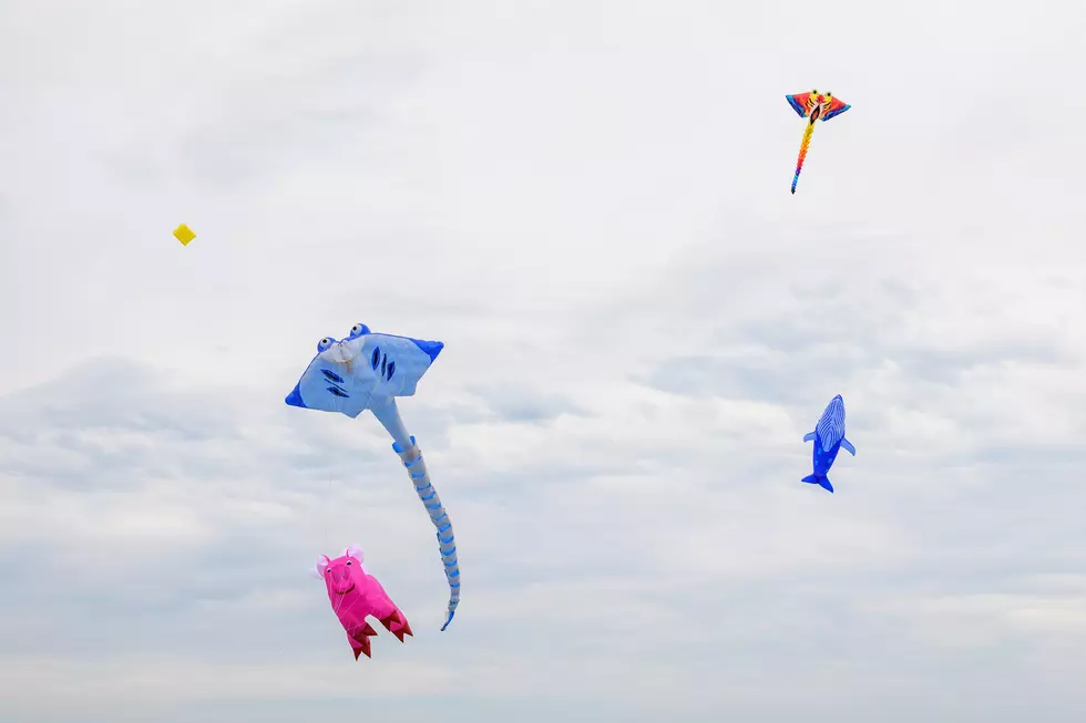 Kites in the Park Returns to Spring Canyon Community Park