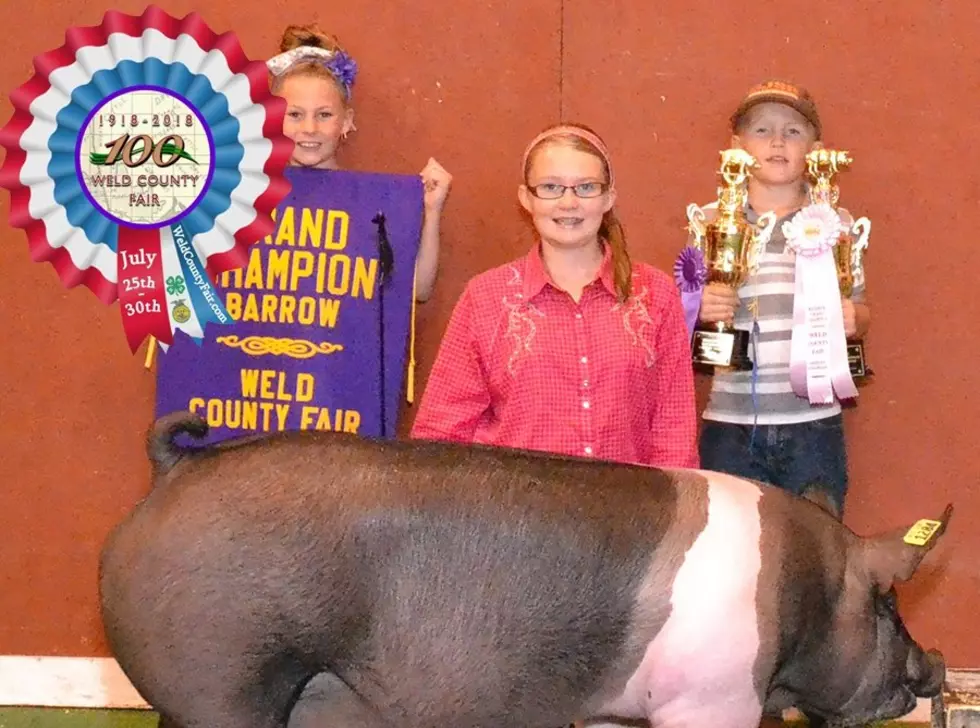 100th Annual Weld County Fair Premiere Exhibitor Results