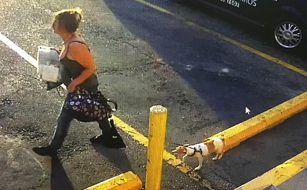 Woman Takes Dying Man’s Dog at Longmont 7-Eleven
