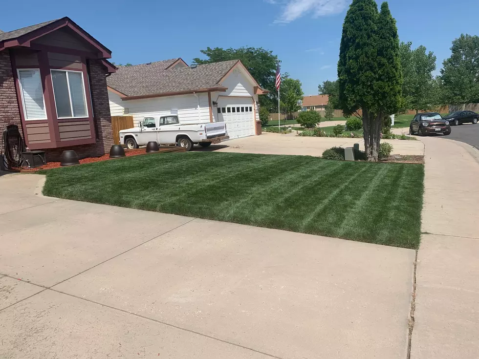 Keep Your Lawn Green In the Summer Heat
