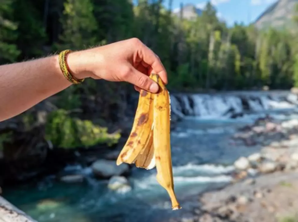 Glacier National Park: Don’t Toss Banana Peels, Apple Cores Out Windows