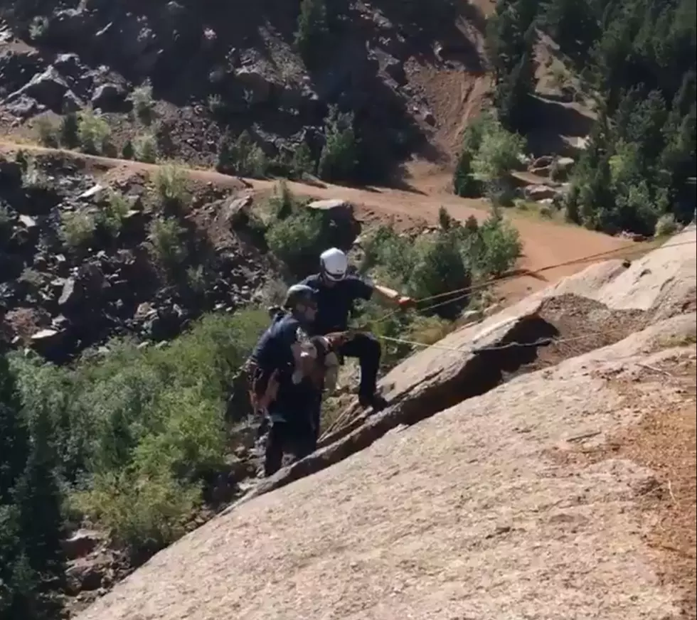 Video of Dog Being Saved After 60-foot Fall Off Colorado Cliff
