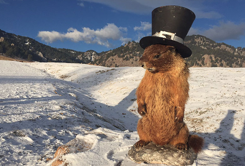 Groundhog Punxsutawney Phil Predicts Early Spring, But There’s a Catch