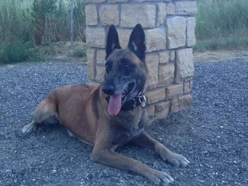 Weld County Law Enforcement Mourning Loss of Two K9 Officers