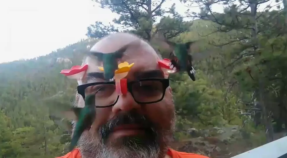 Watch Colorado Man Put Hummingbird Feeder on Glasses