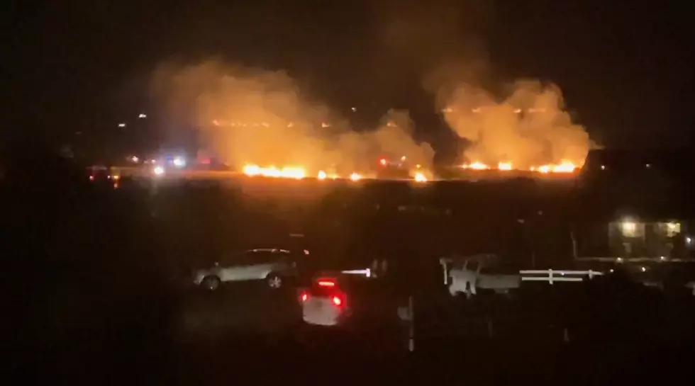 Out of Control Firework Starts Blaze Near Windsor