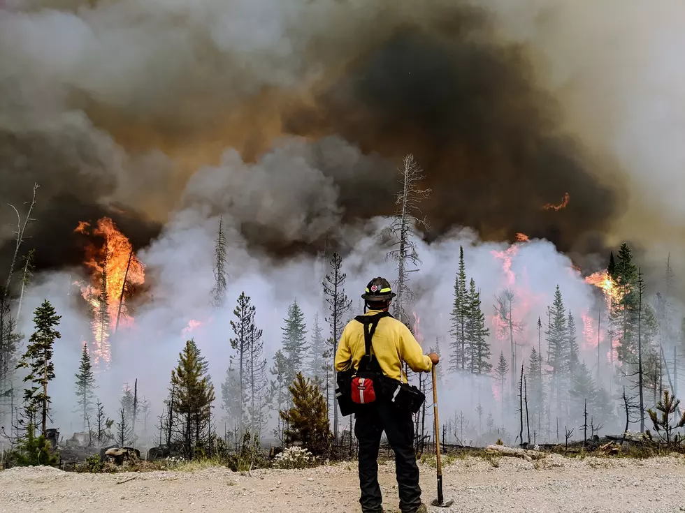 Fighting Cameron Peak Fire Will Cost Estimated $130 million